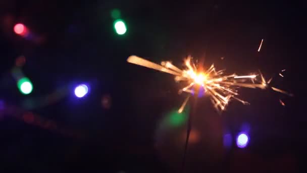 Burning Sparkler on the background of the tree. close up — Stock Video