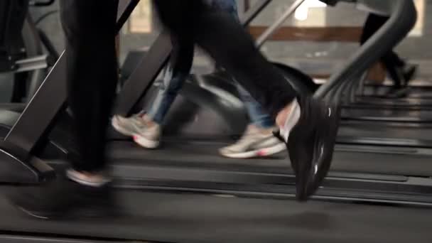 Visão traseira das pernas, andando e correndo na academia de esteira, treino motivado. Homem da aptidão, perda de peso — Vídeo de Stock
