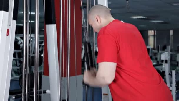 Un hombre en el gimnasio sacude sus tríceps — Vídeos de Stock