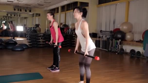 Chicas haciendo ejercicios con un palo deportivo en el gimnasio. Ropa deportiva — Vídeos de Stock