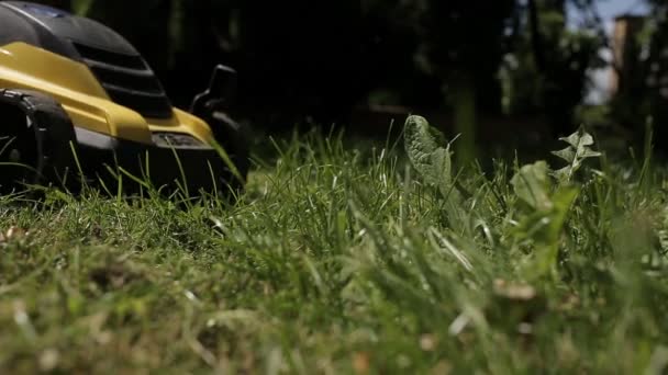 La niña está cortando un césped desigual con cortacésped amarillo descalzo — Vídeos de Stock