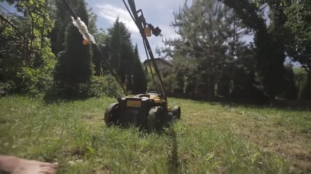 소녀는 맨발로 노란색 잔디 깎는 기계와 고르지 않은 잔디를 깎고있다 — 비디오