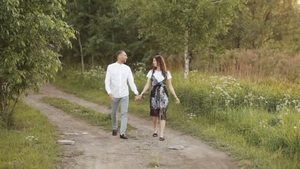 Fiatal férfi és nő sétál egy zöld rét a parkban kezében kezet a nyáron. Romantika, szerelem, kapcsolat — Stock videók