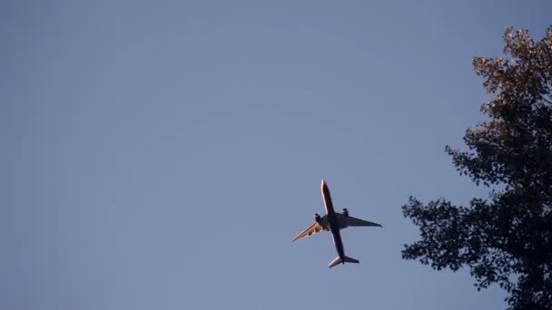 Una silhouette di un aereo privato vola sopra il cielo azzurro.Vista di aereo che vola e la sua tavola splende sul sole.Airliner decolla contro un cielo blu e sole luminoso — Video Stock