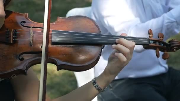 Acércate tocando el violín. Concierto, boda — Vídeo de stock