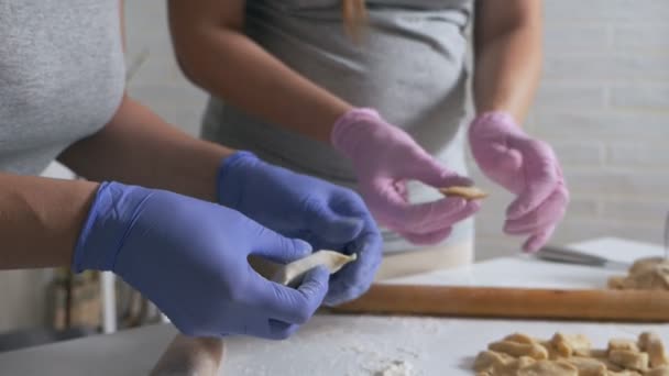 Una mujer y su hija embarazada están preparando un delicioso almuerzo juntos en casa. Cocinar albóndigas de carne. Cocina casera — Vídeo de stock