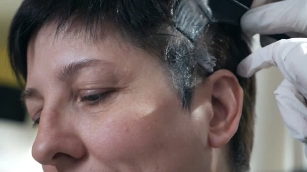 Primo piano del parrucchiere mano colorare una donna dai capelli scuri — Video Stock