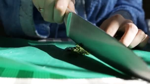 Comida vegetariana caseira saudável. As mãos humanas cortam a grama suculenta, endro para cozinhar a salada vegetal em uma placa de corte de madeira — Vídeo de Stock