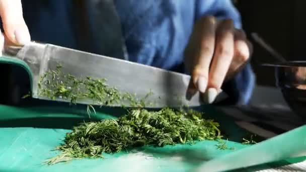 Homemade vegetarian healthy food. Human hands cut juicy grass, dill for cooking vegetable salad on a wooden cutting board — Stock Video