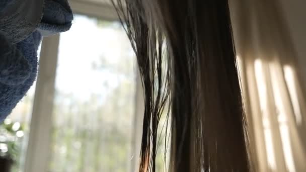 Brunette girl blow-dry wet hair against the background of the suns rays near the window. The woman is styling her hair. Drying hair. Womens hairstyle. — Stock Video