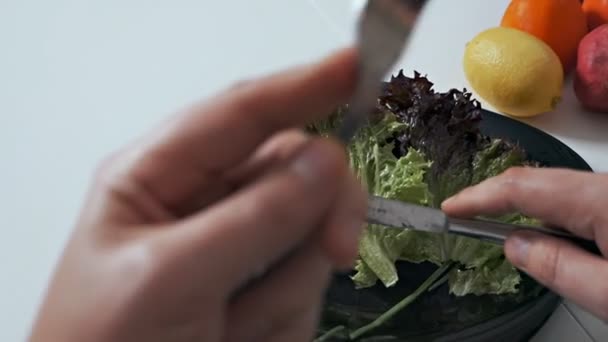 Vegansk Varelke lunch, färsk sallad, hälsosam mat koncept närbild — Stockvideo