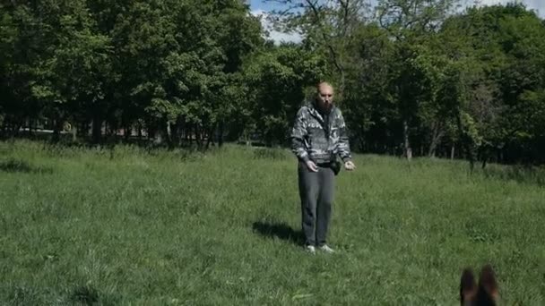 한 남자 가 공원에서 개와 함께 걸어 다닌다. 독일인 양치기. 공원에서 가장 좋아 하는 동물 개 의훈 련 — 비디오