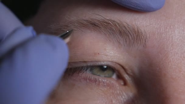 Kosmetisk procedur för ögonbrynsvård under viruset. Plockning av ögonbryn med klientpincett under virus — Stockvideo