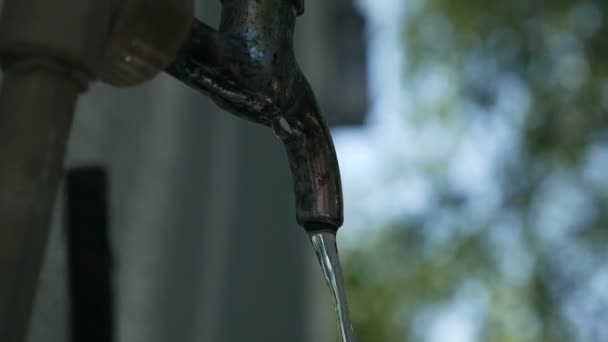 誰かがのどが渇いている場合は、きれいな飲料水で噴水を飲む。みんなのための新鮮な飲料水 — ストック動画