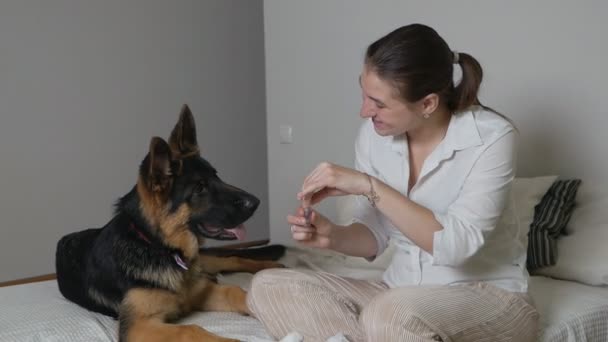 Una joven está preparando una medicina acuosa y acuosa para un perro enfermo. Tratamiento pastor alemán — Vídeo de stock
