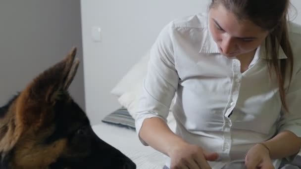 Dog hair on a womans pants. The woman is not happy that the dogs hair remains on her clothes. Pet and caring for him — Stock Video