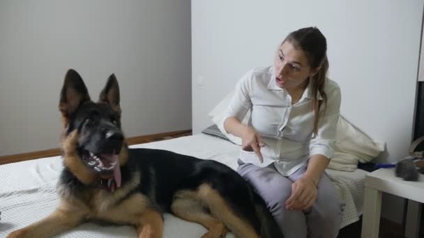 Pelo de perro en pantalones de mujer. La mujer no está feliz de que el pelo de los perros permanece en su ropa. Mascotas y cuidar de él — Vídeos de Stock