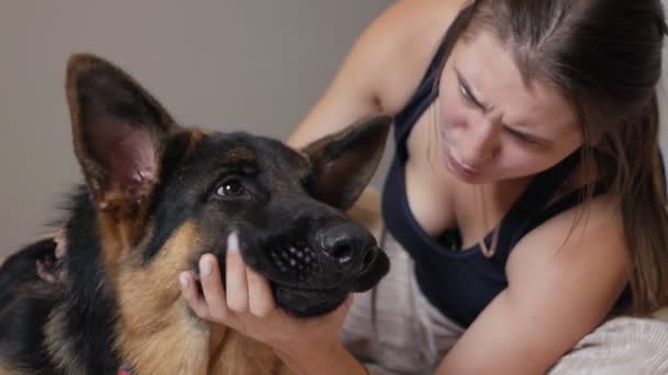 Carina donna che gioca con il suo cane mentre sdraiato sul divano a casa. Carino animali domestici — Video Stock