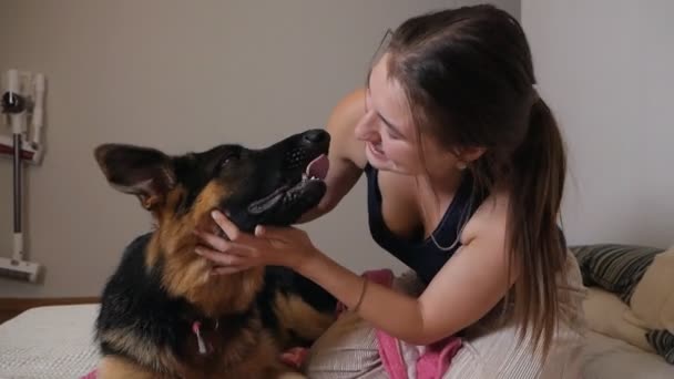 Happy woman playing with her german shepherd dog on sofa at home in living room — Stock Video