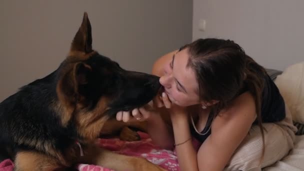 Happy woman playing with her german shepherd dog on sofa at home in living room — Stock Video