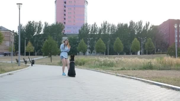 Ein Mädchen in kurzen Hosen und Hemd spielt mit ihrem Hund, einem Schäferhund, mit einem Ball, der Hund läuft dem Ball im Park hinterher. Lieblingstiere. Zeitlupe — Stockvideo