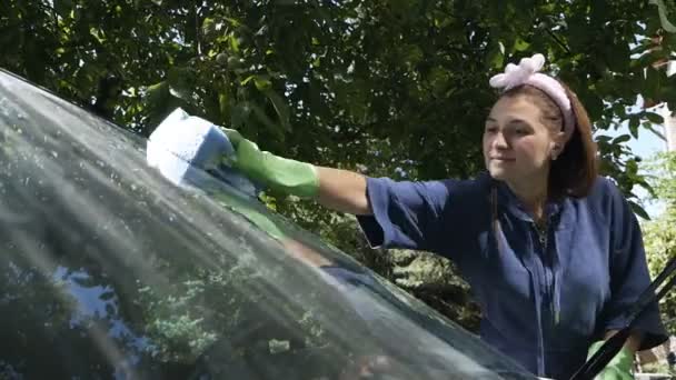 Mujer limpia el parabrisas del coche con esponja azul en el patio de su casa en verano — Vídeos de Stock