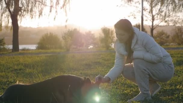日落时分，年轻的女人抚摸着她心爱的德国牧羊犬，它躺在河边的草地上。爱护动物的概念 — 图库视频影像