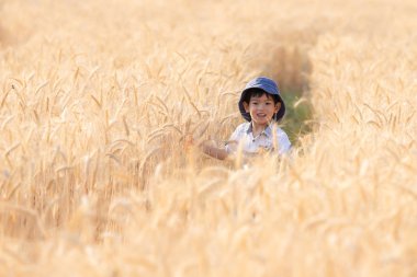 Asya eğleniyor ve buğday alanında yaz üzerinde oynama çocuk.