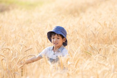 Asya eğleniyor ve buğday alanında yaz üzerinde oynama çocuk.
