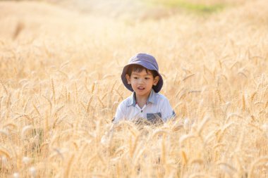 Asya eğleniyor ve buğday alanında yaz üzerinde oynama çocuk.