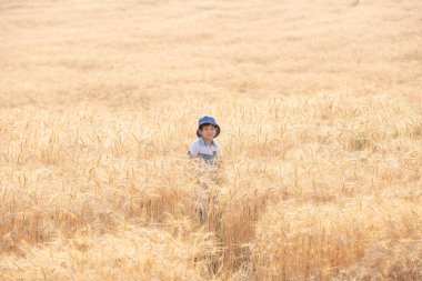 Asya eğleniyor ve buğday alanında yaz üzerinde oynama çocuk.