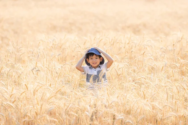 Asian Boy Having Fun Playing Wheat Field Summer — Stock Photo, Image