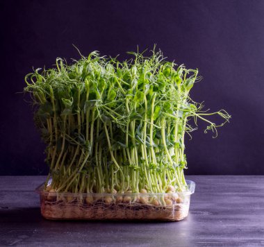 Taze bezelye siyah arka plan üzerine kare tepsisindeki ateş eder