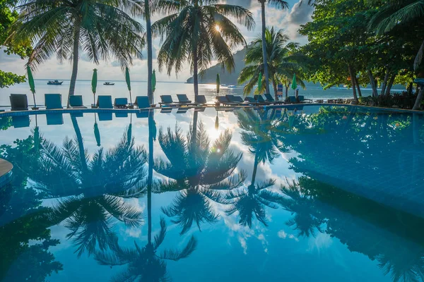 Contour schaduw van palmbomen aan het water zwembad op het strand weer — Stockfoto