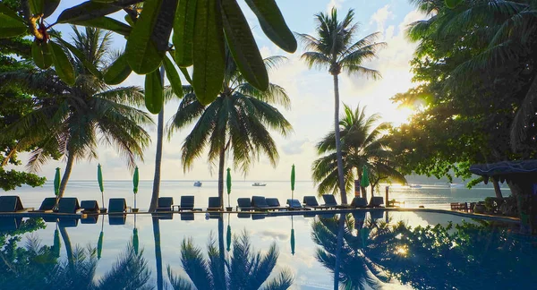 Contour schaduw van palmbomen aan het water zwembad op het strand weer — Stockfoto