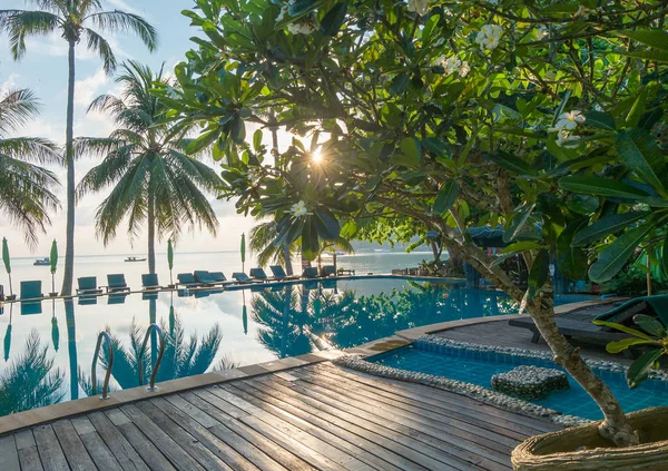 Contour schaduw van palmbomen aan het water zwembad op het strand weer — Stockfoto