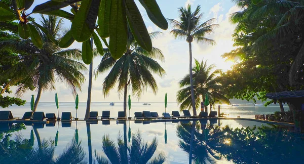 Konturschatten der Palmen am Wasserpool am Strand Stockbild