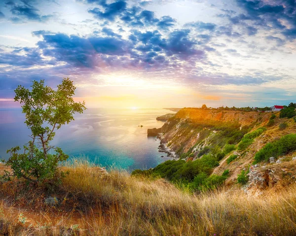 Cape Fiolent 'te gün batımında çimenler ve kayalar ön planda. Kırım