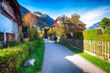 Ünlü Hallstatt dağ köyü Hallstatter Gölü ile doğal görünümünü. Tipik Avusturyalı Alpine parlak çiçekler ile ev sahipliği yapmaktadır. Yer: resort köyü Hallstatt, Salzkammergut bölge, Avusturya, Alpler. Europe.