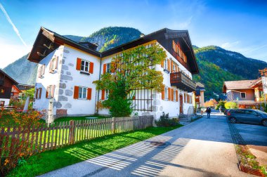 Ünlü Hallstatt dağ köyü Hallstatter Gölü ile doğal görünümünü. Tipik Avusturyalı Alpine parlak çiçekler ile ev sahipliği yapmaktadır. Yer: resort köyü Hallstatt, Salzkammergut bölge, Avusturya, Alpler. Europe.