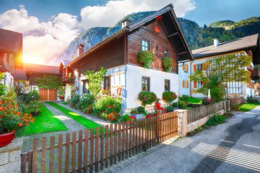 Ünlü Hallstatt dağ köyü Hallstatter Gölü ile doğal görünümünü. Tipik Avusturyalı Alpine parlak çiçekler ile ev sahipliği yapmaktadır. Yer: resort köyü Hallstatt, Salzkammergut bölge, Avusturya, Alpler. Europe.
