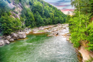 Bahar nehir manzara. Bir bahar zamanında bir dağ orman hızlı akışında.