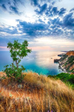 Cape Fiolent 'te gün batımında çimenler ve kayalar ön planda. Kırım