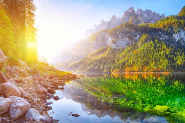 Güzel manzara pastoral renkli sonbahar sahne ile kristal berraklığında Gosausee dağ Gölü, sonbaharda yansıtan Dachstein Dağ Zirvesi. Salzkammergut bölge Upper Austria