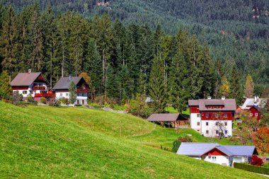 Alp yeşil alanlar ve sonbahar güneşli günü Gosau köyde görünümünü geleneksel ahşap evler. Yer: tatil köyü Gosau Salzkammergut bölge, Yukarı Avusturya, Alpler Gosau vadide. Europe.