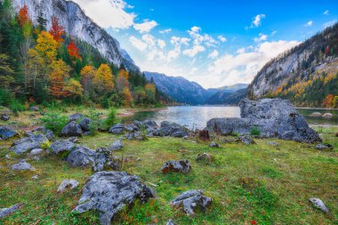 Güzel manzara pastoral renkli sonbahar sahne Dachstein Dağ Zirvesi Gosausee dağ gölü tarafından düşmek Salzkammergut bölge Yukarı Avusturya Avusturya