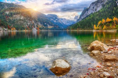 Güzel manzara pastoral renkli sonbahar sahne Dachstein Dağ Zirvesi Gosausee dağ gölü tarafından düşmek Salzkammergut bölge Yukarı Avusturya Avusturya