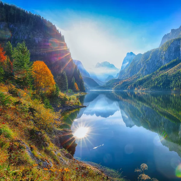 Schöne Aussicht Auf Idyllische Bunte Herbstkulisse Mit Dachsteingipfel Gosausee Herbst — Stockfoto