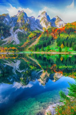 Güzel manzara pastoral renkli sonbahar sahne Dachstein Dağ Zirvesi Gosausee dağ gölü tarafından düşmek Salzkammergut bölge Yukarı Avusturya Avusturya
