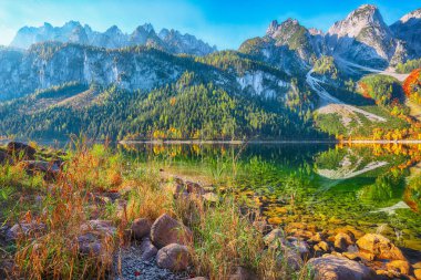 Güzel manzara pastoral renkli sonbahar sahne ile kristal berraklığında Gosausee dağ Gölü, sonbaharda yansıtan Dachstein Dağ Zirvesi. Salzkammergut bölge Upper Austria
